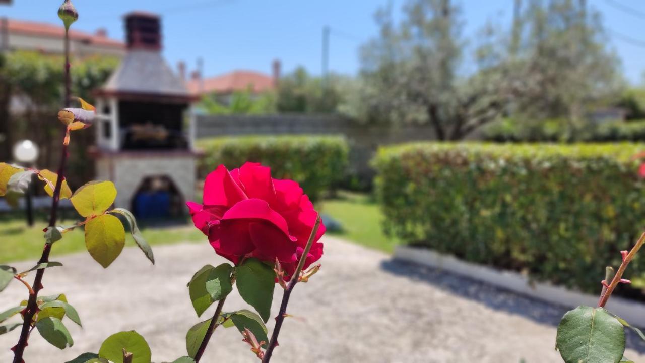 Villa Elina House And Garden Nikiti  Exterior foto